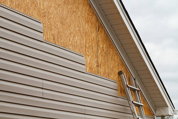Professional Siding Repair technician working in Ashland, VA
